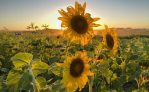 Why do we fear being ordinary?