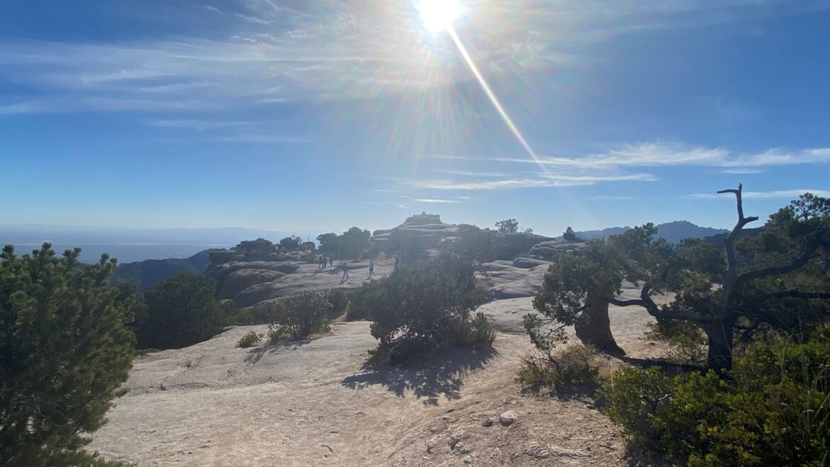 Mount Lemmon