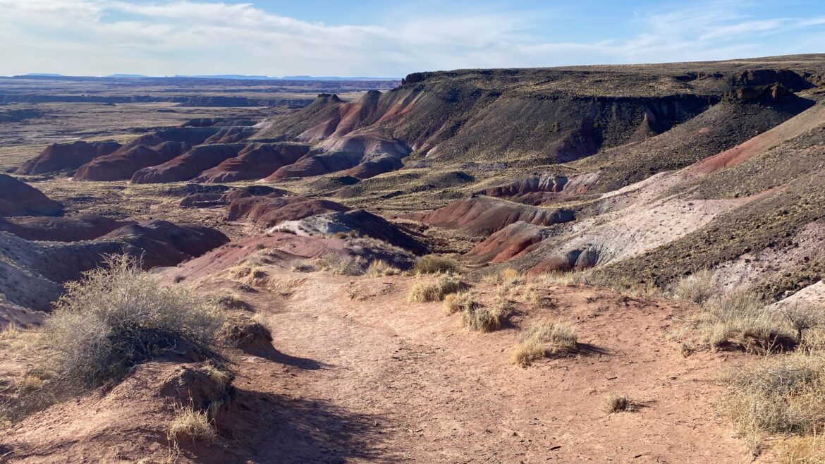 Petrified Forest National Park