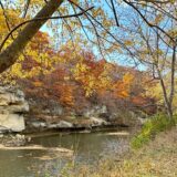 Fall color, God's creation