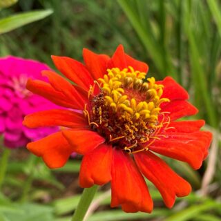 Happy New Year, Covid and All