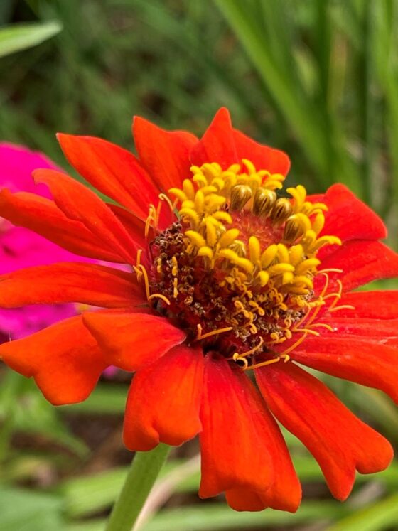 Struggling to Find Purpose in Life