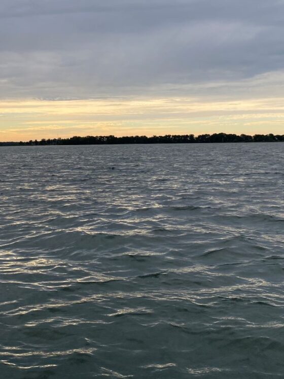 What is God’s Will for My Life?